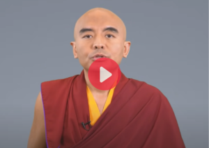 Monkey mind uitleg door een Tibetaanse meditatieleraar